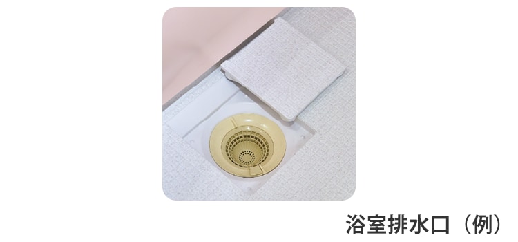 浴室排水口(例)