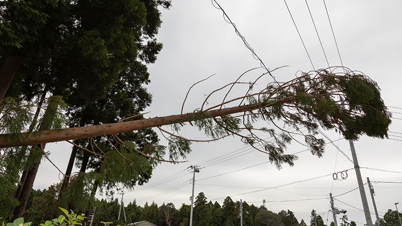停電を引き起こす原因