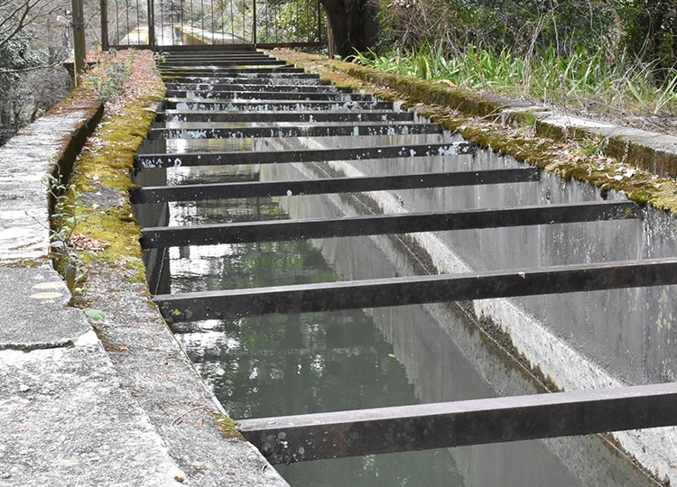 水路閣を流れる水の量は、ほぼ一定に保たれているそうです