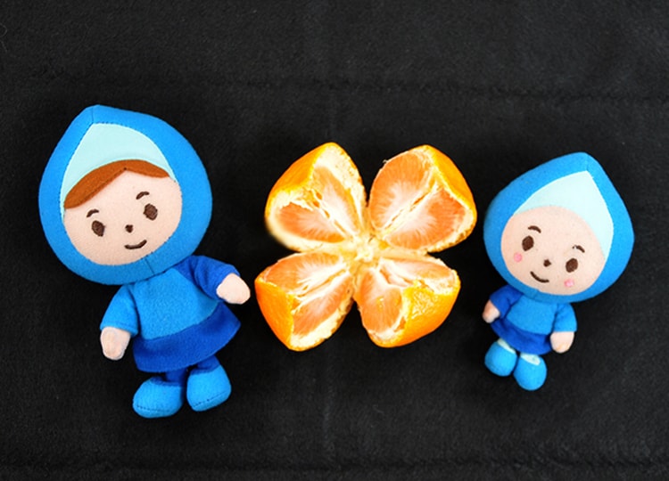 マイマイたちも、うまく有田むきができたよ