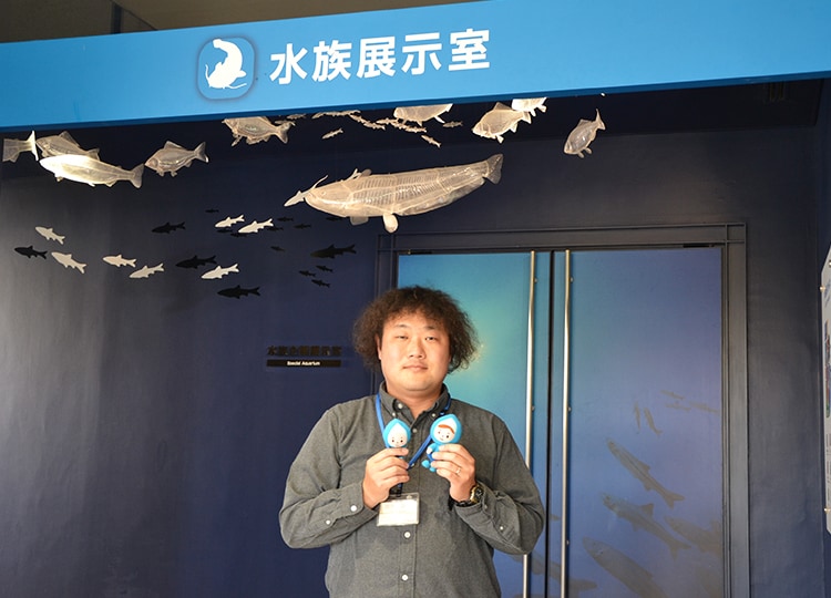 水族展示室の入口には琵琶湖で泳ぐ魚のオブジェがたくさん吊り下げられています