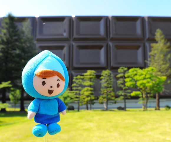 誰かが食べちゃったの?!