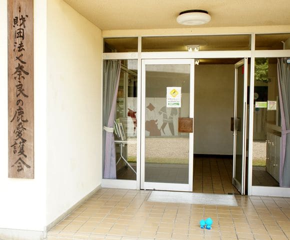 「一般財団法人 奈良の鹿愛護会」を突撃!