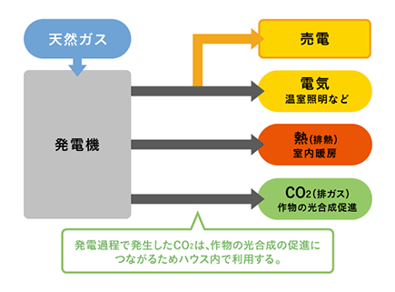 図2 トリジェネレーションの仕組み例
