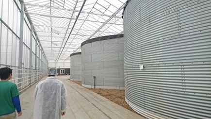 雨水をためる雨水タンク。水が貴重なオランダでは多くの施設園芸農家が利用している