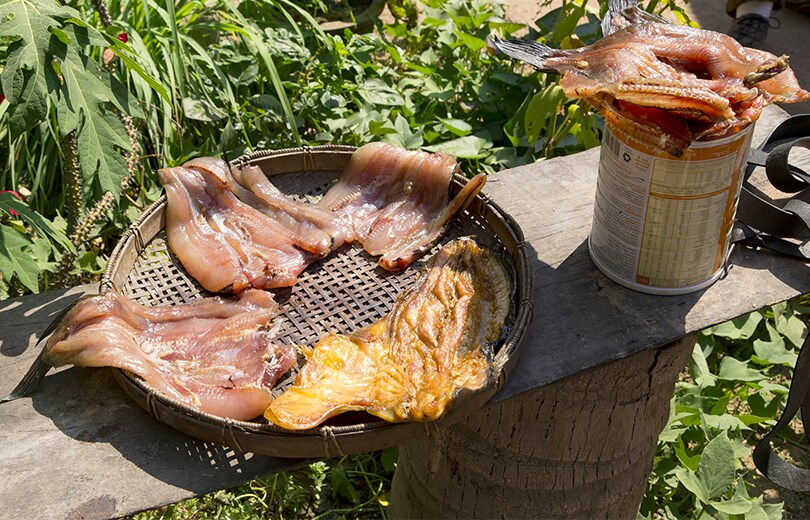 大量にとれた魚は、長期保存するため味をつけて干物に