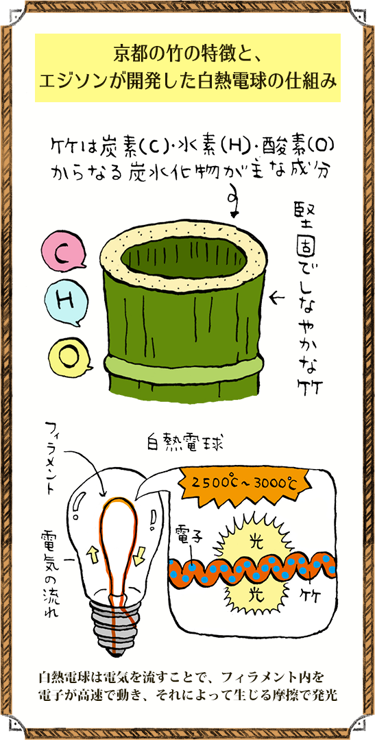 京都の竹の特徴と、エジソンが開発した白熱電球の仕組み
