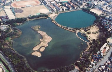池の中に「日本列島」を発見！？