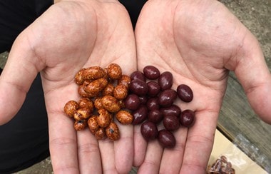奈良土産には、おいしい「鹿のふん」を？！