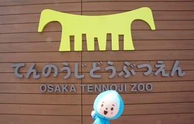 出合えたらラッキー！動物園内を散歩する「幸運のニワトリ」