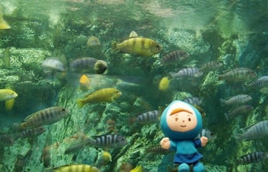 定員1名。女性だけが入れる、小さな小さな水族館