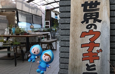 食べられないなら、見て楽しむ！ウナギ尽くしの水族館