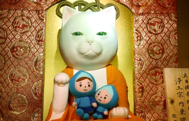 住職は猫？人の縁を招く京都の猫猫寺