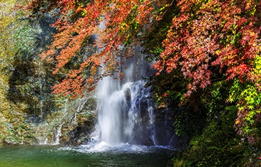 紅葉の名所・箕面では、もみじを食べるって本当！？