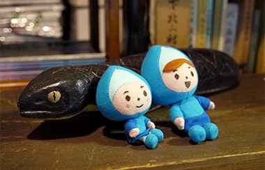 あの未確認生物に会える！？奈良のツチノコ共和国へ入国！