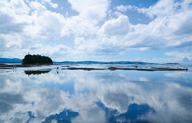 次世代につなげたい！和歌山・天神崎の自然を守る47年間の活動を調査