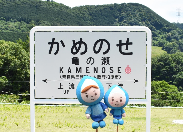 亀の瀬地すべり歴史資料室の前庭には、地名を記した案内板があります