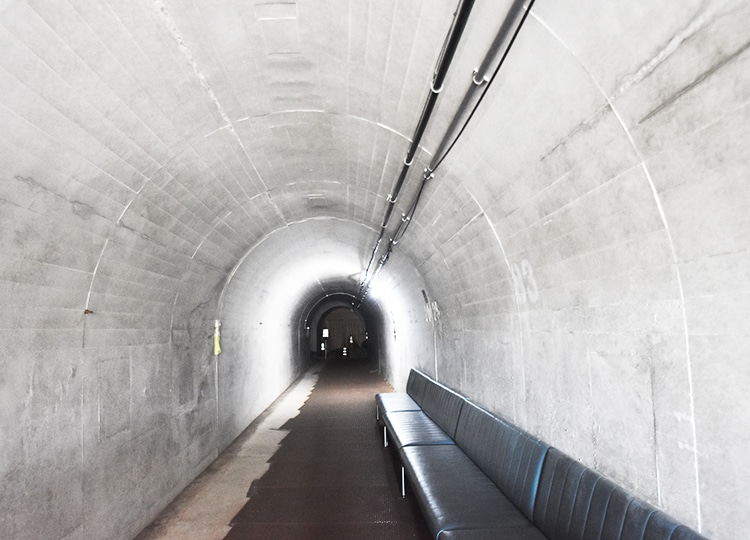 入口から10歩ほど進んだトンネルの内部。トンネルはコンクリートでつくられています