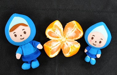 速い！綺麗！あっという間！和歌山県有田市でみかんのむき方を調査