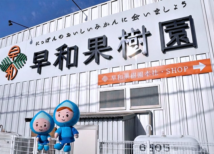 早和果樹園に到着！「有田むき」について調査開始です