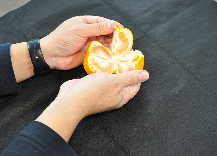 2つに割った片方を、さらに皮ごと半分に割ります