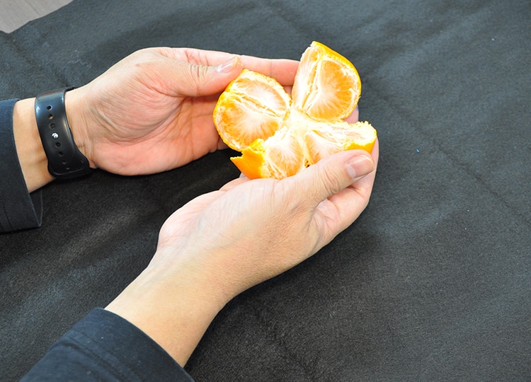 3ステップであっという間に4等分に